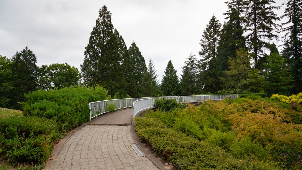 Washington Park ofreciendo un parque