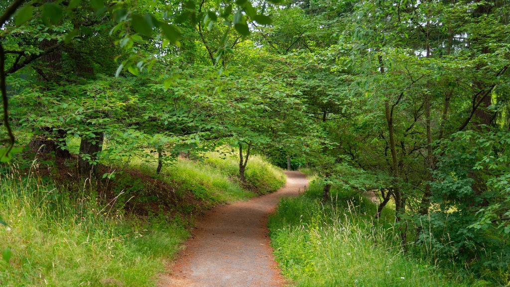 Washington Park som omfatter en have