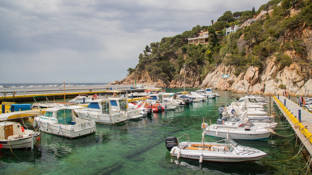 Cala Canyelles Beach showing a bay or harbor and rugged coastline