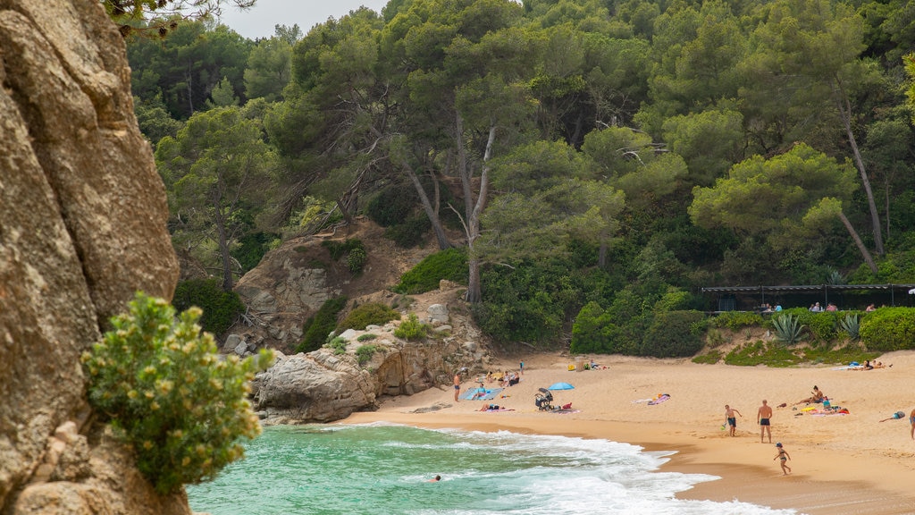 Playa de Santa Cristina toont algemene kustgezichten en een zandstrand