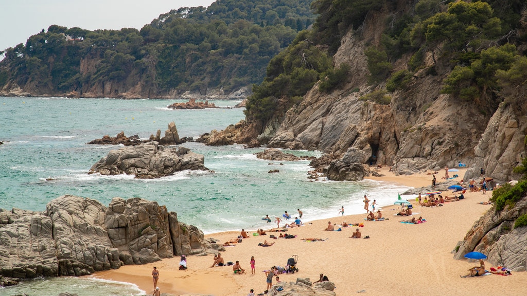 Cala Boadella Beach featuring rugged coastline, a beach and general coastal views