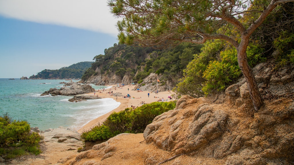 Cala Boadella Beach featuring a sandy beach, rugged coastline and general coastal views