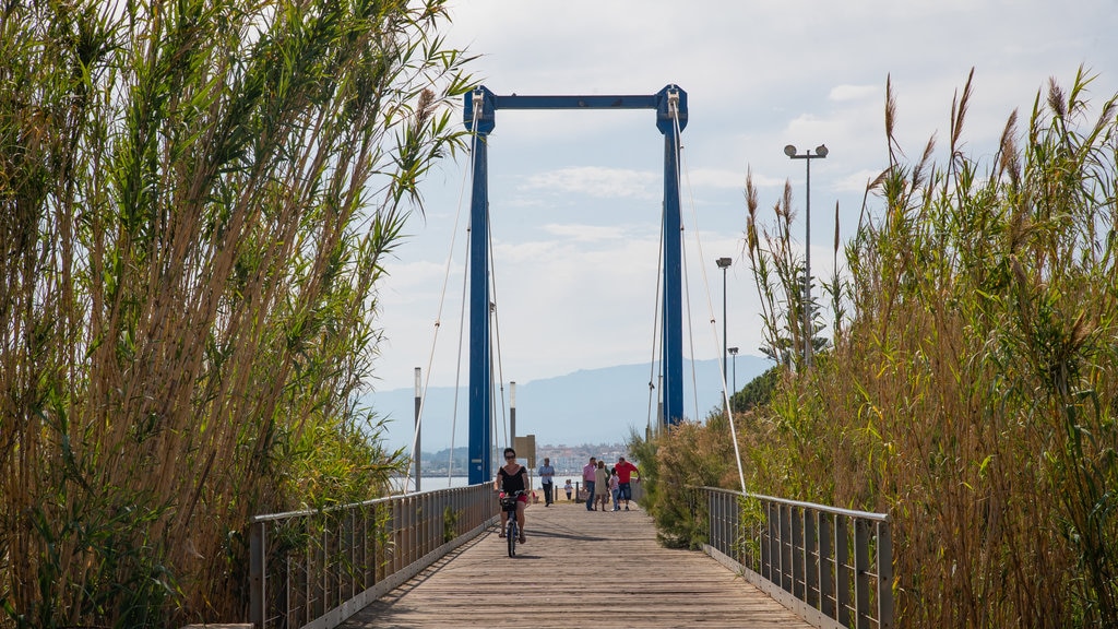 Playa de Cambrils mostrando ciclismo y un puente y también una mujer