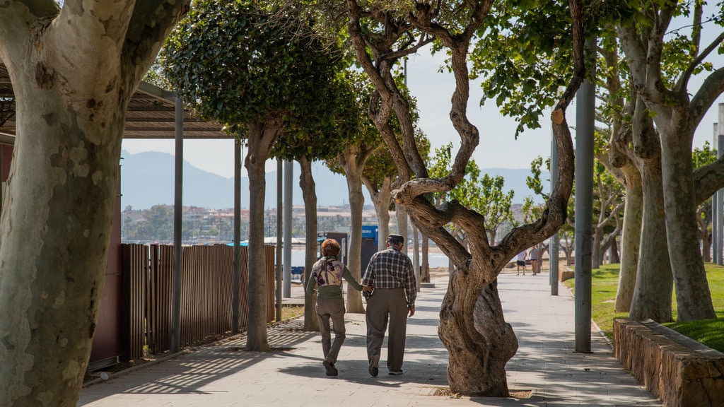 Plage de Cambrils montrant jardin aussi bien que couple