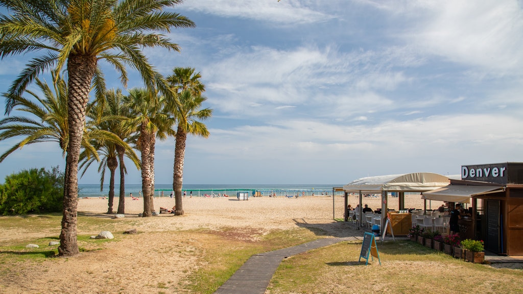 Cambrils Beach showing general coastal views and a beach