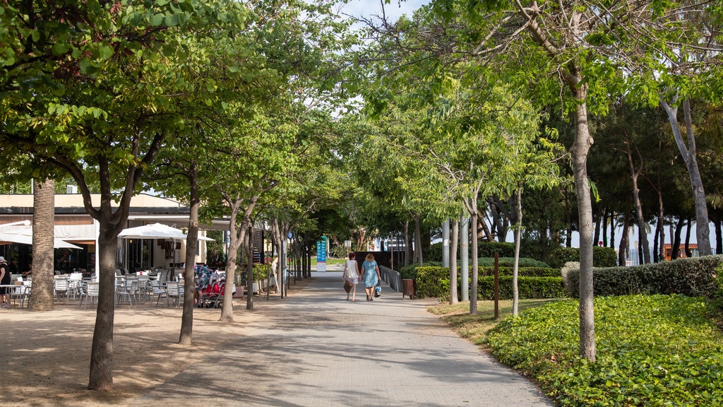 Parque del Pescador que incluye jardín y también una pareja