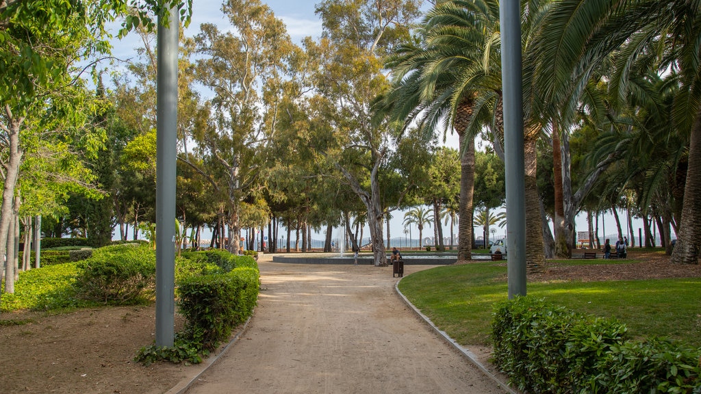 Parc del Pescador showing a garden