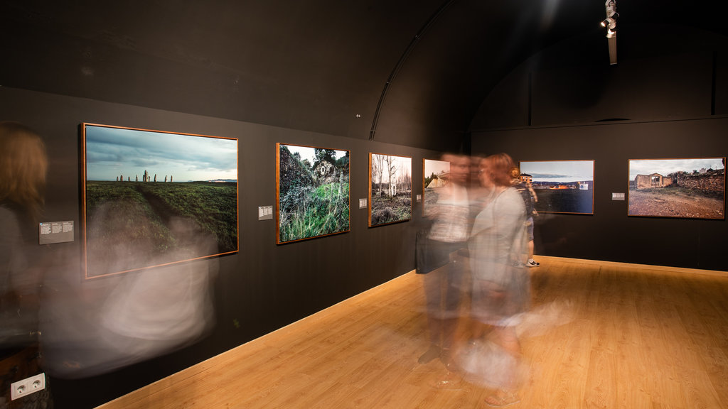 Montjuic Castle showing art and interior views