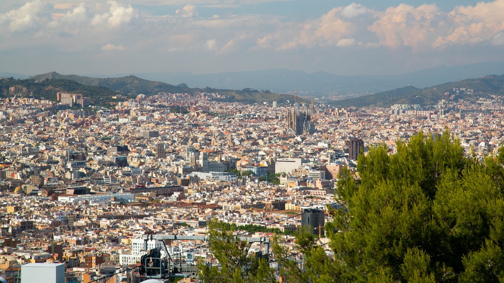 Montjuic Castle featuring a city and landscape views