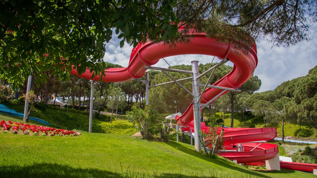 Water World montrant parc aquatique