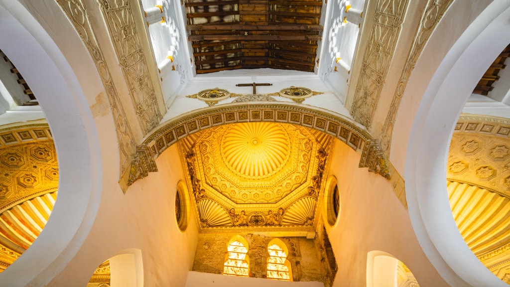 Sinagoga de Santa María la Blanca que incluye vistas interiores y elementos del patrimonio