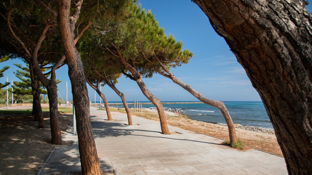 Cambrils strand som inkluderer kyst