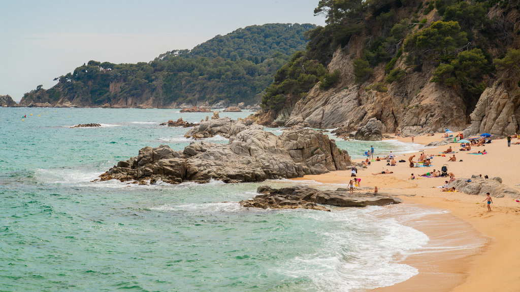 Cala Boadella Beach showing rugged coastline, general coastal views and a sandy beach