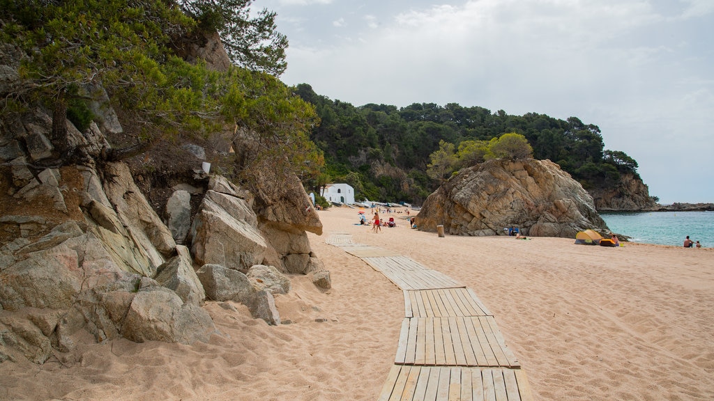 Playa Cala Canyelles que incluye vistas generales de la costa y una playa de arena