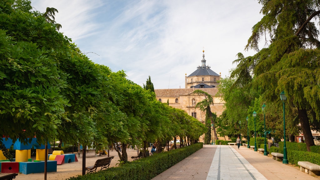 Hospital of Tavera Museum showing a park