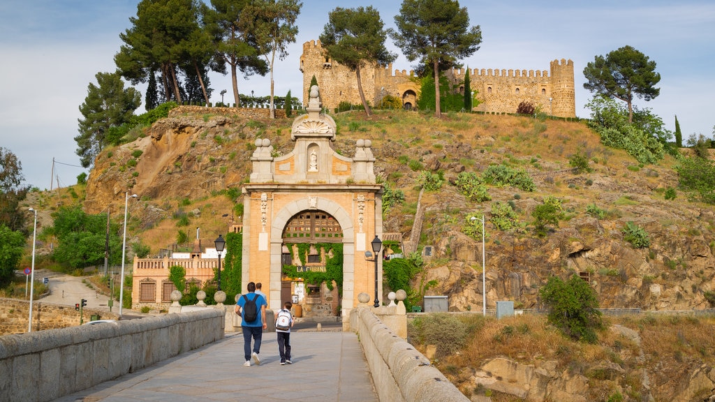 Puente de Alcántara mostrando un castillo, un puente y elementos del patrimonio