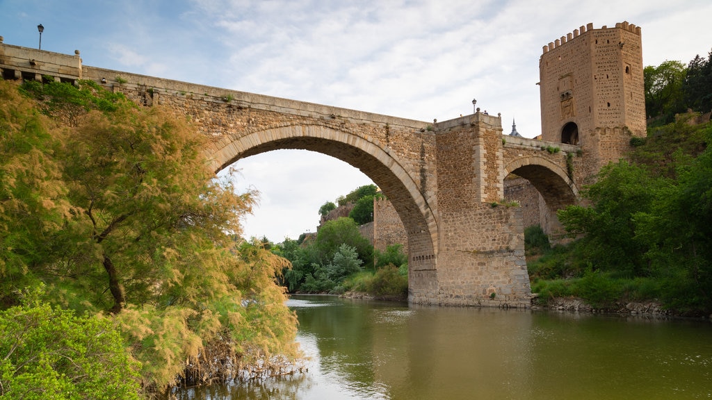 Puente de Alcántara ofreciendo elementos del patrimonio, un puente y un río o arroyo