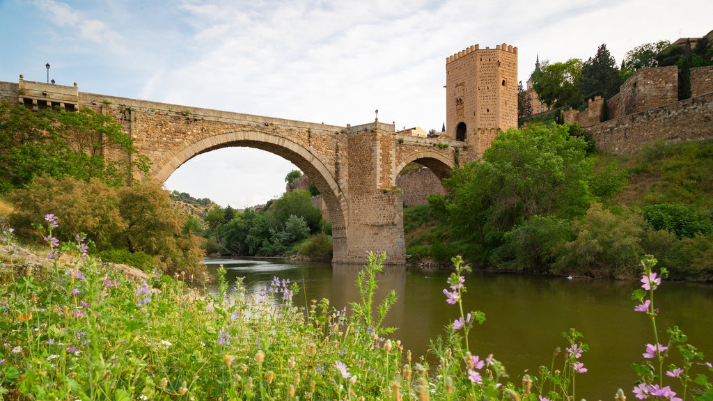 Puente de Alcantara featuring wild flowers, heritage elements and a river or creek