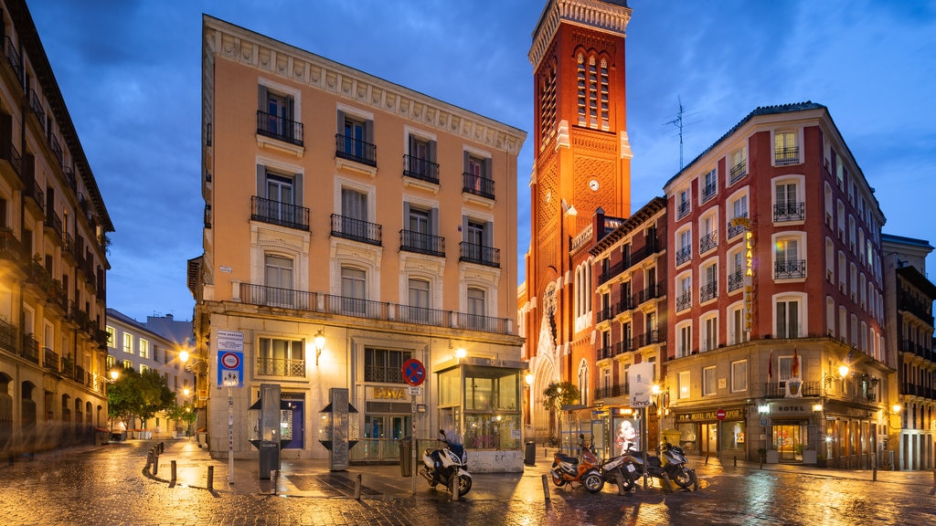 Madrid ofreciendo escenas de noche y una ciudad