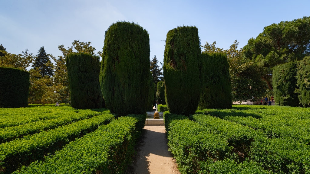 Sabatini Gardens showing a park