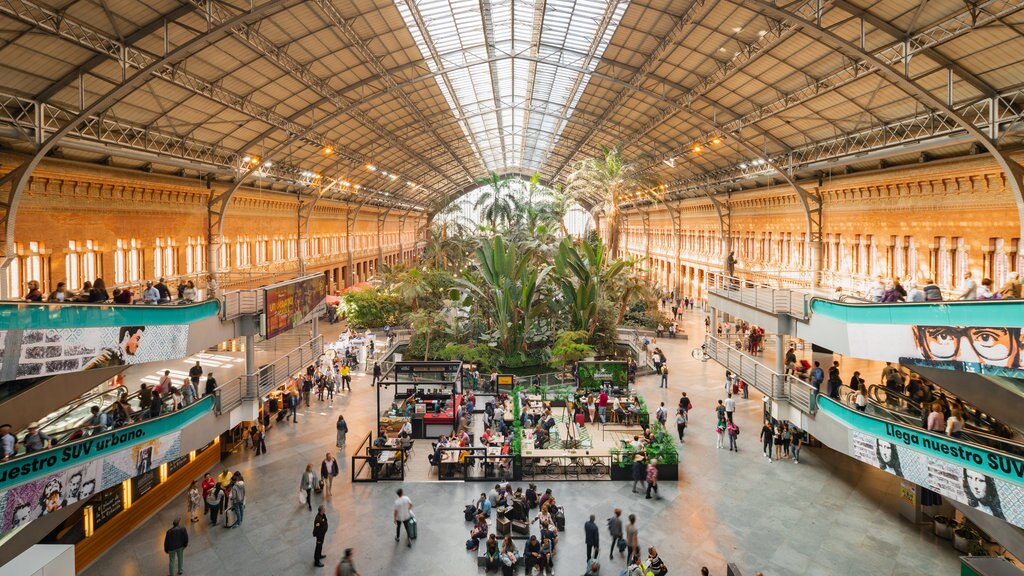 Madrid mostrando vista interna e shopping cosi come un piccolo gruppo di persone