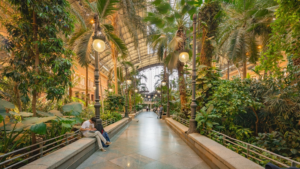 Madrid showing a park and interior views as well as an individual male