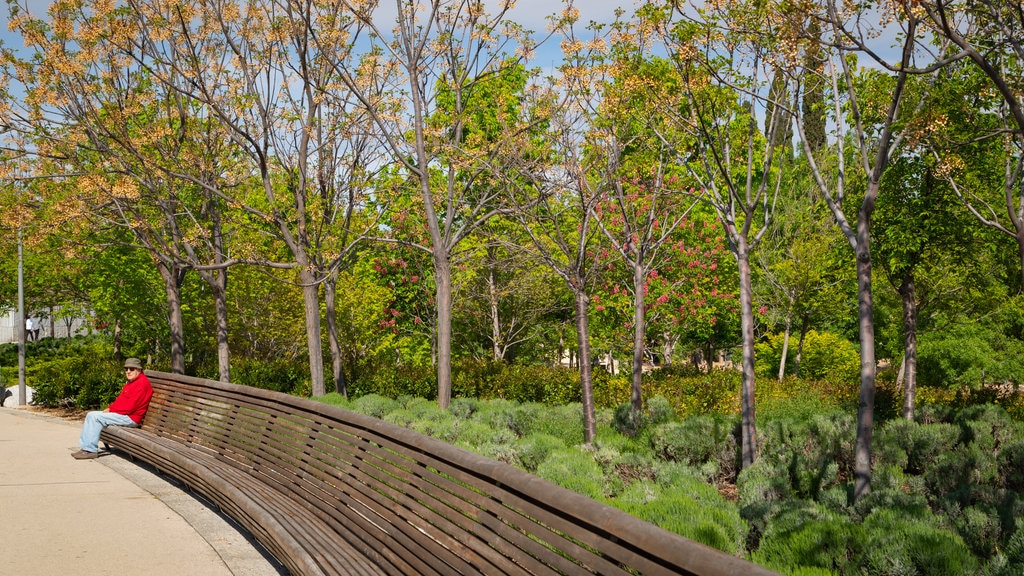 Madrid Rio showing a garden as well as an individual male