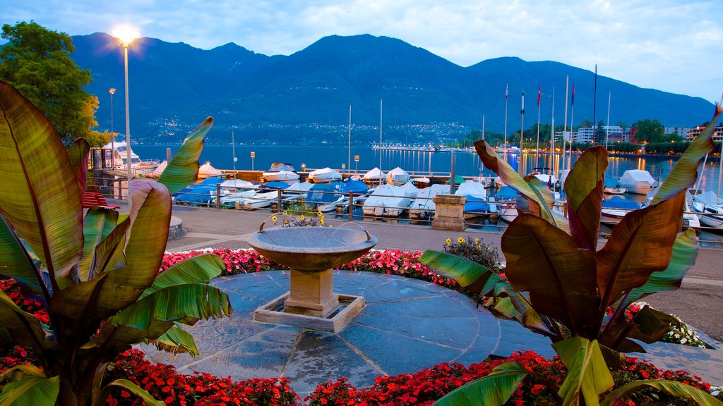 Locarno showing flowers, a fountain and a bay or harbour