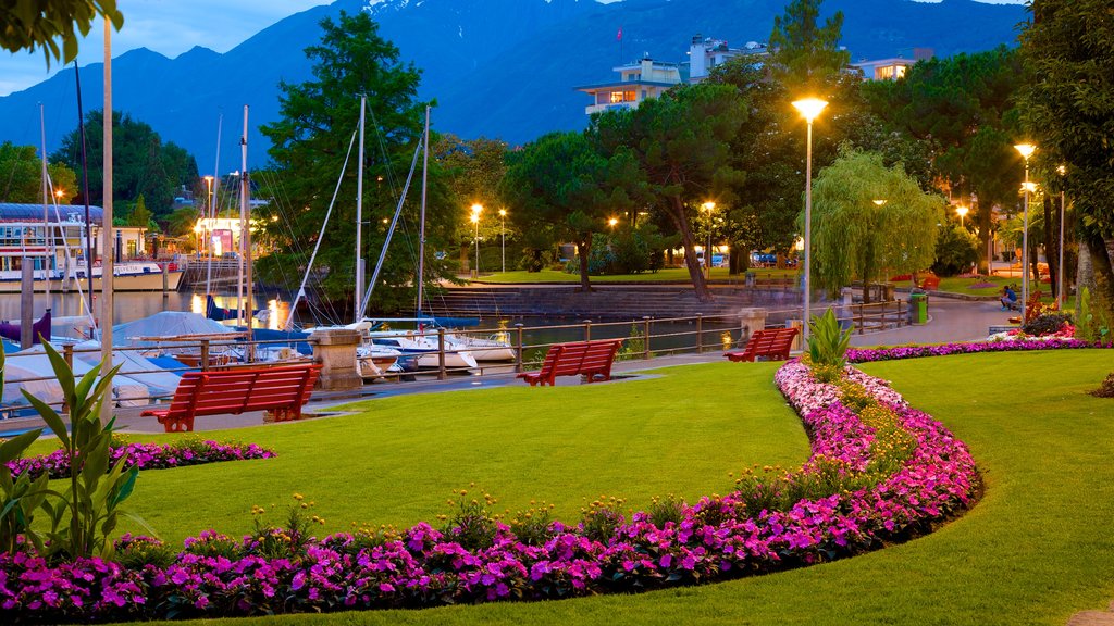 Locarno which includes flowers, a park and night scenes