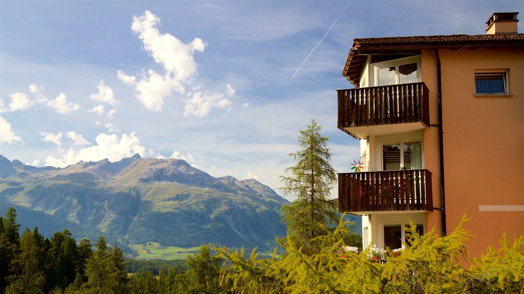 Pontresina ofreciendo escenas tranquilas, vistas de paisajes y una pequeña ciudad o pueblo