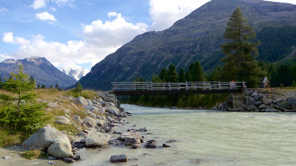 Pontresina featuring a bridge, a river or creek and tranquil scenes