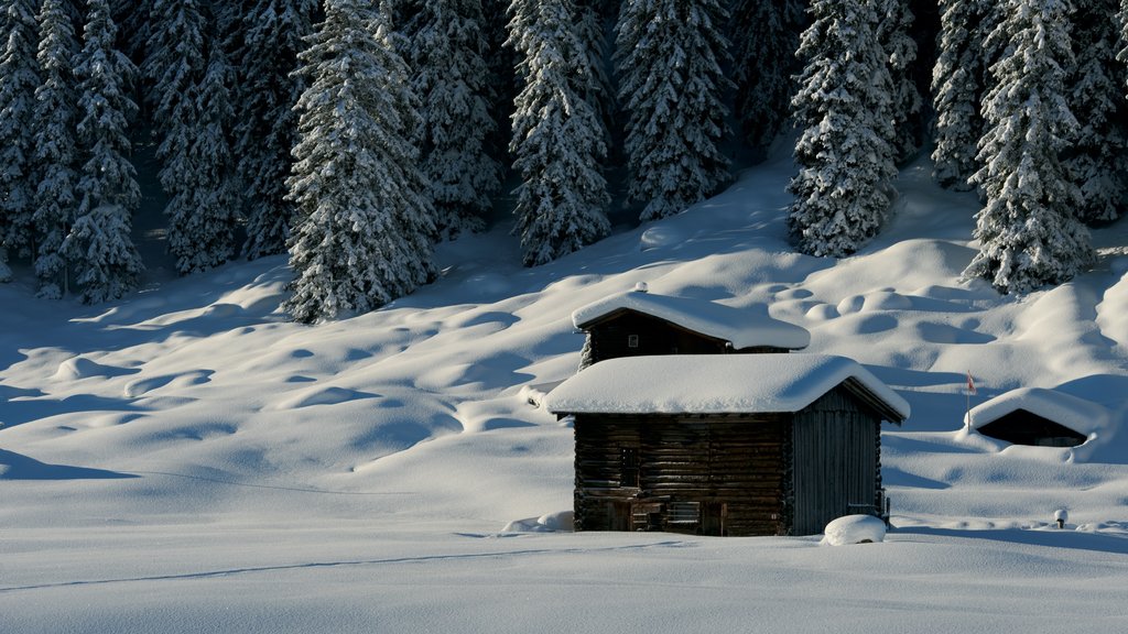 Davos che include neve e paesaggi rilassanti