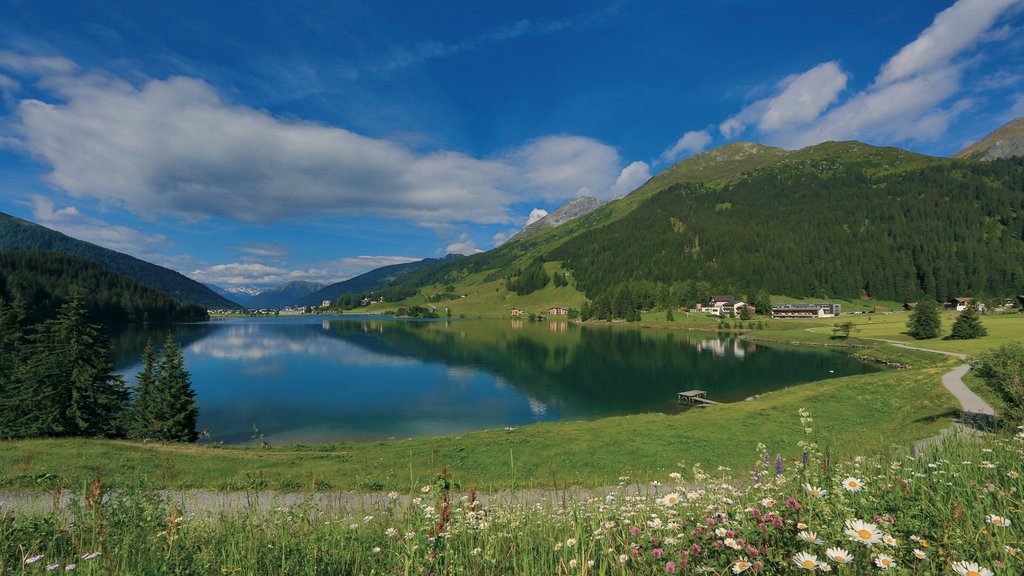 Davos som inkluderer rolig landskap, innsjø og villblomster