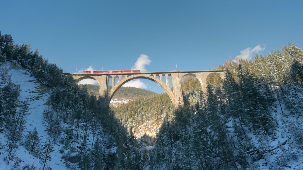 Davos ofreciendo bosques, nieve y un puente