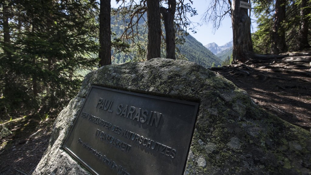 St. Moritz showing signage and forest scenes