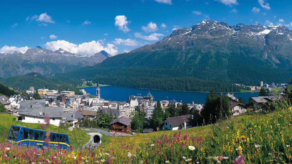 St. Moritz which includes a lake or waterhole, a small town or village and wild flowers