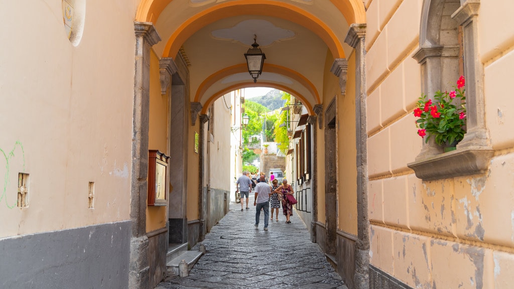 Sorrento-kysten som viser blomster