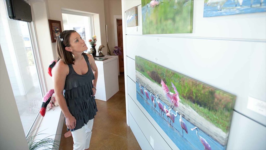 Port Aransas mostrando arte y vistas interiores y también una mujer