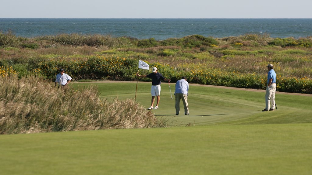 Port Aransas showing a sporting event, golf and a garden