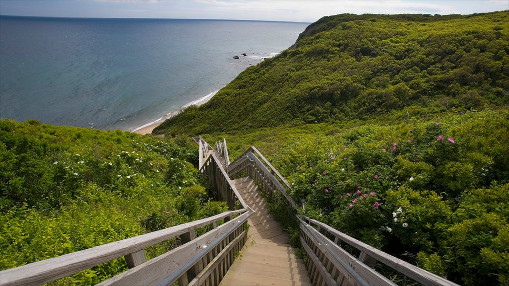 Block Island que inclui paisagens litorâneas