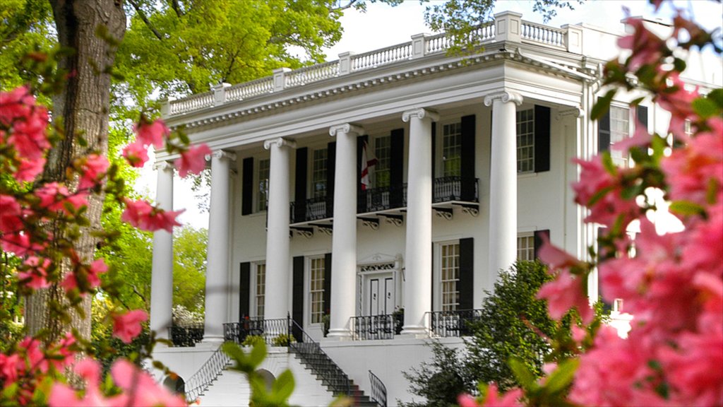 Tuscaloosa toont een huis, bloemen en historische architectuur