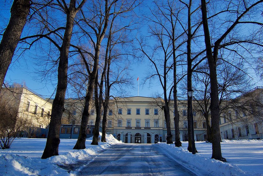 Il palazzo reale visto dal parco - Di Bjørn Erik Pedersen - Opera propria, © 2005, 2006, 2007 by Bjørn Erik Pedersen, CC BY-SA 3.0, https://commons.wikimedia.org/w/index.php?curid=54053