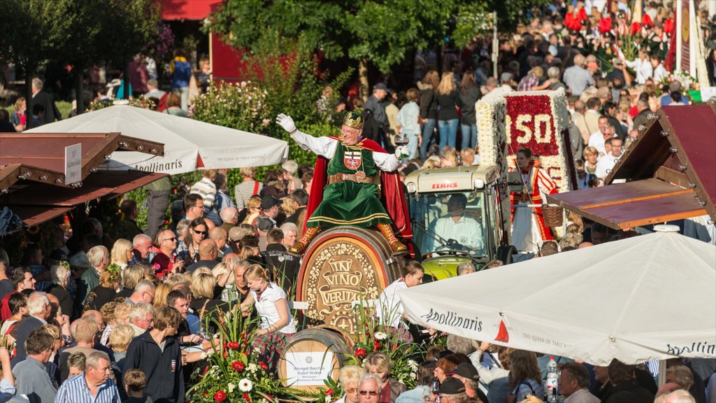 Bad Neuenahr-Ahrweiler mostrando comer al aire libre, un jardín y arte escénica