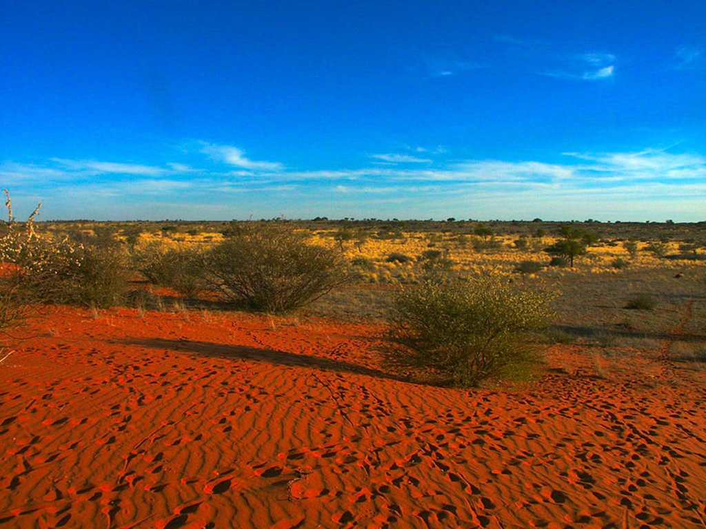 Distese di sabbia nel Deserto del Kalahari - Guida al Deserto del Kalahari - Photo by Winfried Bruenken (Own work) -  
