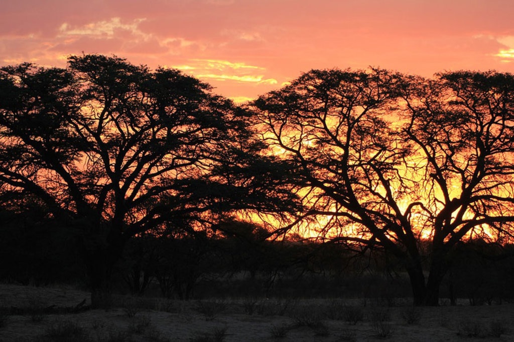 Spettacolari tramonti africani nella regione del Kalahari - Guida al Deserto del Kalahari - Photo credit Pixabay