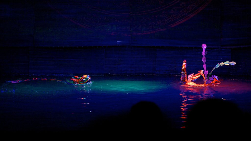 Teatro Thang Long Water Puppet que incluye escenas de teatro, vida nocturna y arte escénico