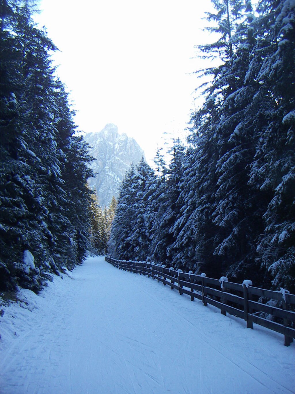 Un tratto della pista da fondo Dobbiaco-Cortina. Ph. By Luca Lorenzi Tramite Wikimedia Commons