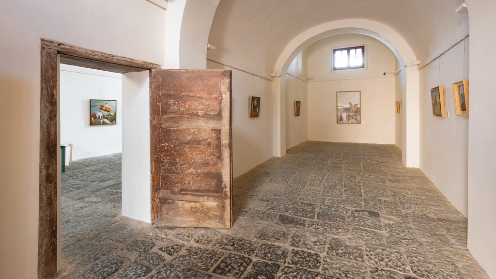 Aragonese Castle showing art and interior views