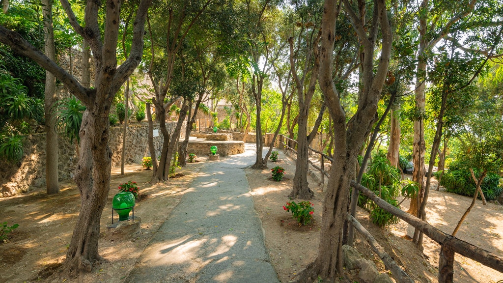 Aragonese Castle showing a garden