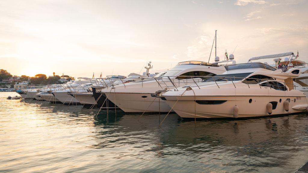 Puerto de Isquia que incluye una bahía o un puerto y un atardecer